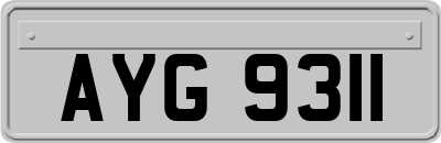 AYG9311