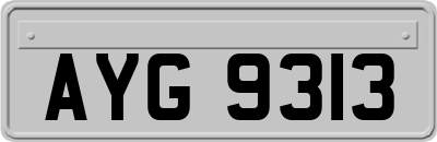 AYG9313