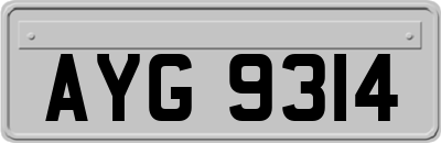 AYG9314