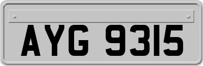 AYG9315