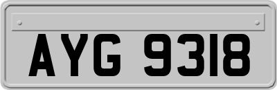 AYG9318