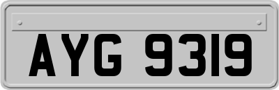 AYG9319