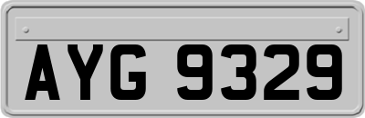 AYG9329