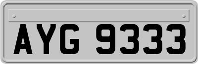 AYG9333