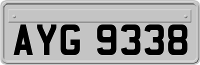 AYG9338