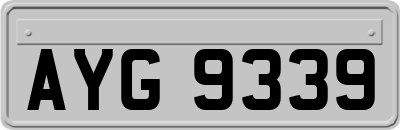 AYG9339
