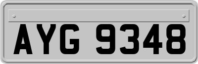 AYG9348