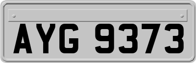 AYG9373