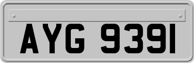 AYG9391