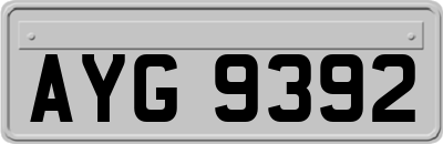 AYG9392