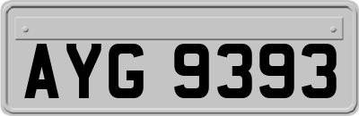 AYG9393