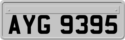 AYG9395