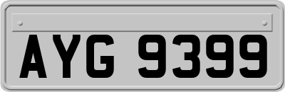 AYG9399
