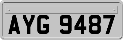 AYG9487