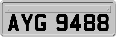 AYG9488