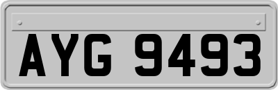 AYG9493