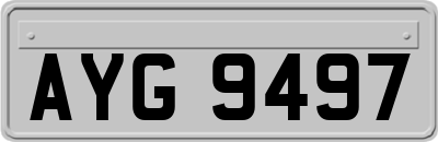 AYG9497