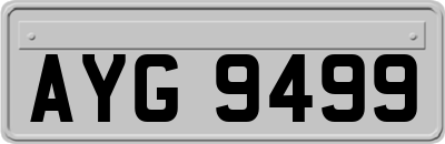 AYG9499