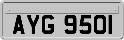 AYG9501