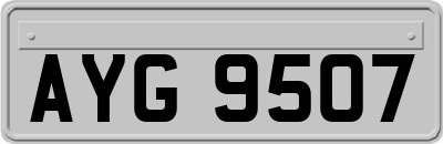 AYG9507