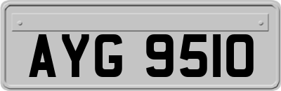AYG9510