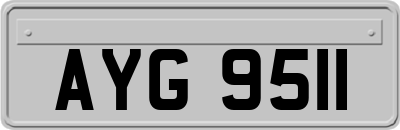 AYG9511