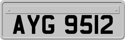 AYG9512
