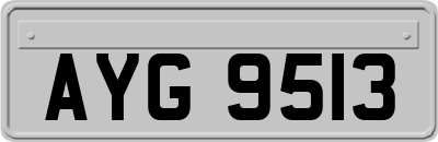 AYG9513