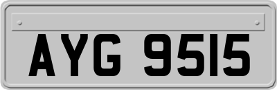 AYG9515