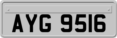 AYG9516