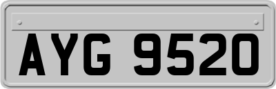 AYG9520