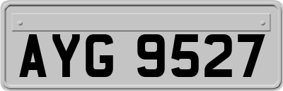 AYG9527