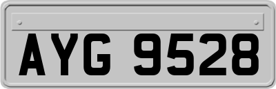 AYG9528