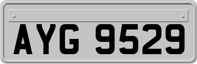 AYG9529