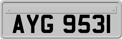 AYG9531