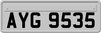 AYG9535