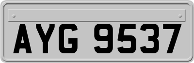 AYG9537