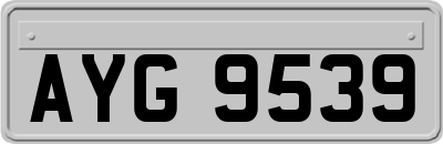 AYG9539