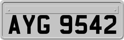 AYG9542