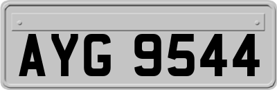 AYG9544