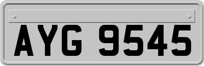 AYG9545