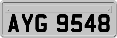 AYG9548