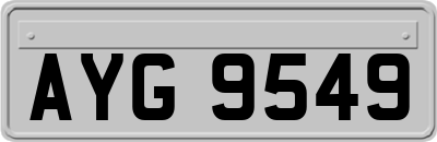 AYG9549