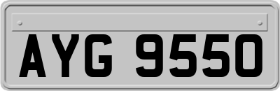 AYG9550