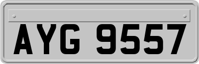 AYG9557