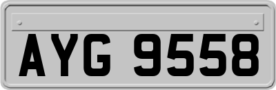 AYG9558