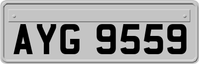 AYG9559