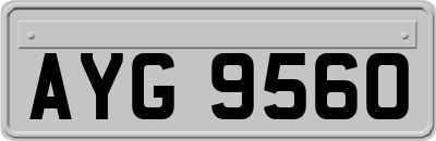 AYG9560