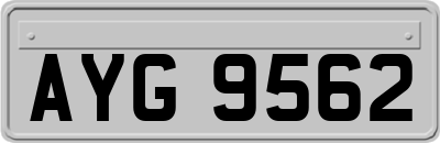 AYG9562