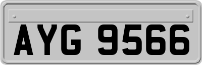 AYG9566